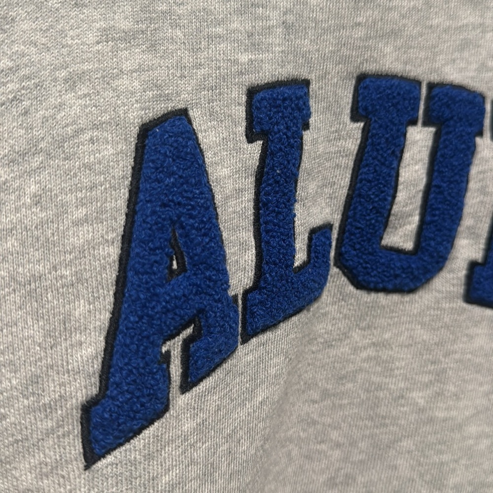 Aerie Women's Sweatshirt Oversized Alumni 3-D Size X-Small Relaxed Fit - Picture 2 of 9